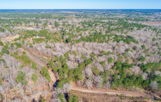 Secluded 5 Acres in Newton County, TX