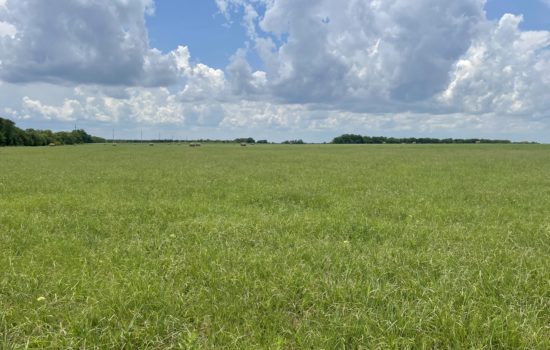 Beautiful Pasture Land in North Central Texas – 94.23 Acres