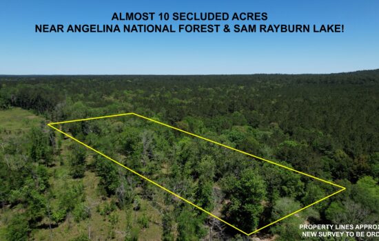 9.3 Acres Surrounded by Angelina National Forest