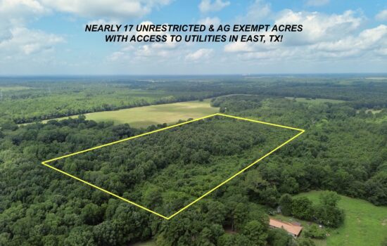 🌳 Secluded 16.92 Acres of Countryside Bliss Near Dangerfield, TX!